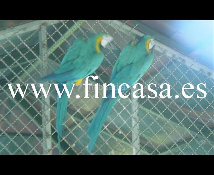 Foto 2ab3c78a-ac9e-490a-b0e4-338733e84ebe. Chalet en Mos