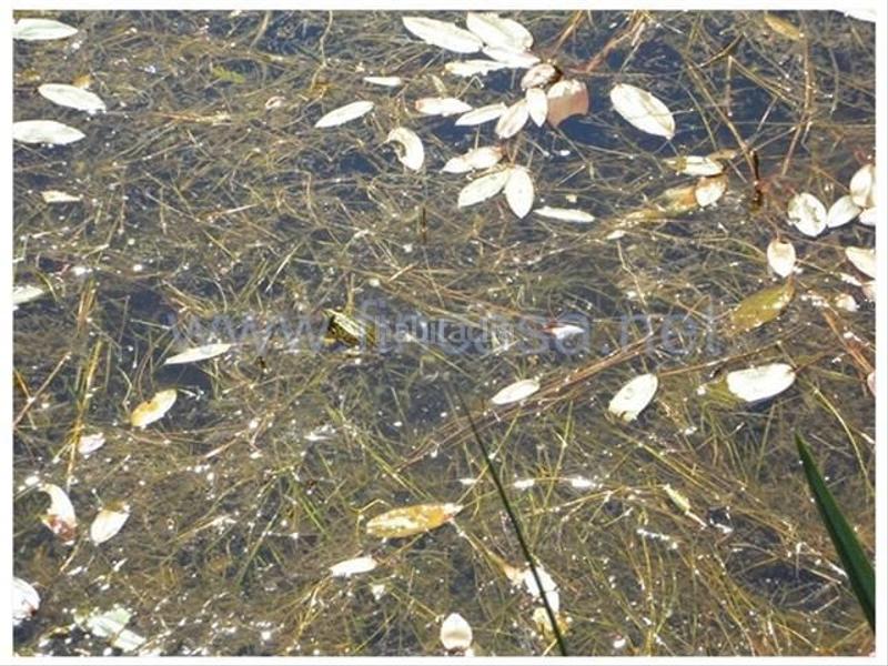 Foto 83269088-2f6b-4097-b8dd-2e06e86f4a0e. Chalet con riscaldamento parcheggio piscina in Gondomar