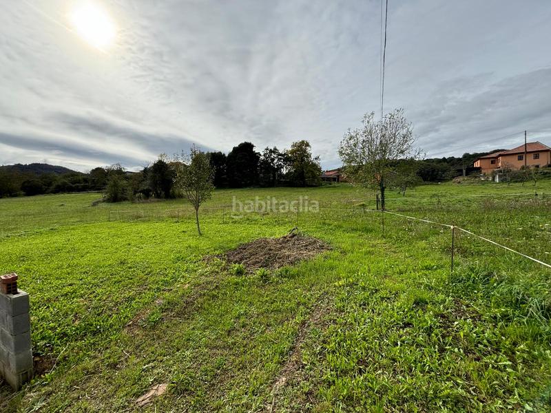 Foto 436f86a1-e443-4149-89ba-2f518a2acfaa. Casa con parcheggio in Salas