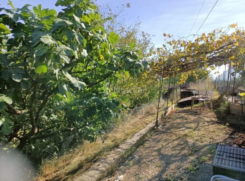 Foto d749024b-e173-4549-a618-49326bfe34b6. Finca rústica a acceso a la corredoria 1 a Huca - La Cadellada Oviedo