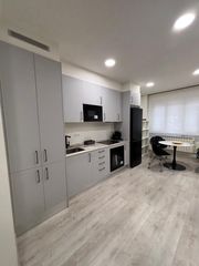 Rent Apartment in Calle del general elorza 75b. Centro