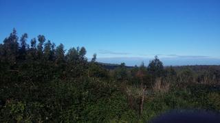 Wohngrundstück in Malpica de Bergantiños