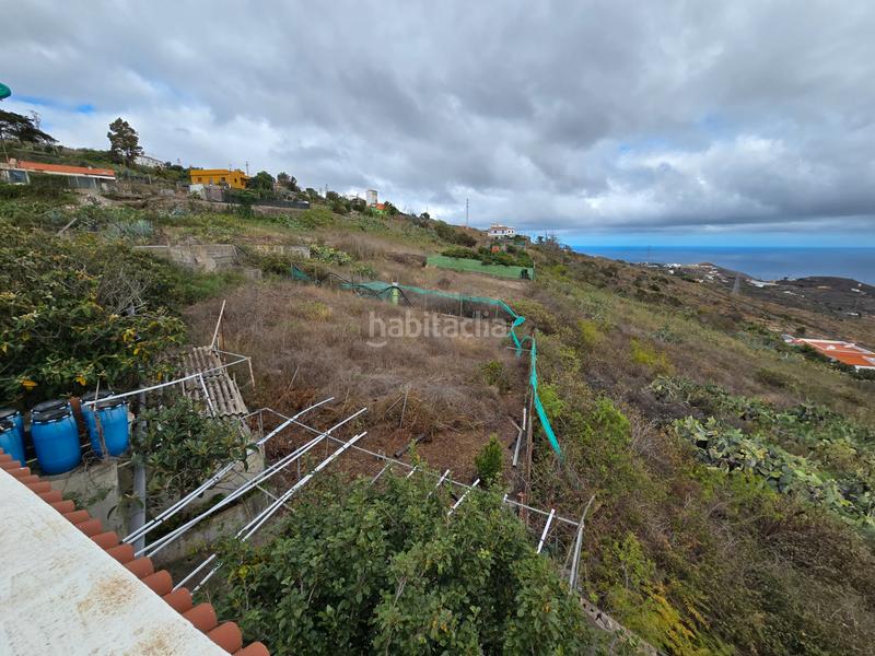 Foto 2709e168-500f-406c-a454-8303971d0791. Casa finca rústica con casa independiente. en Santa María de Guía de Gran Canaria