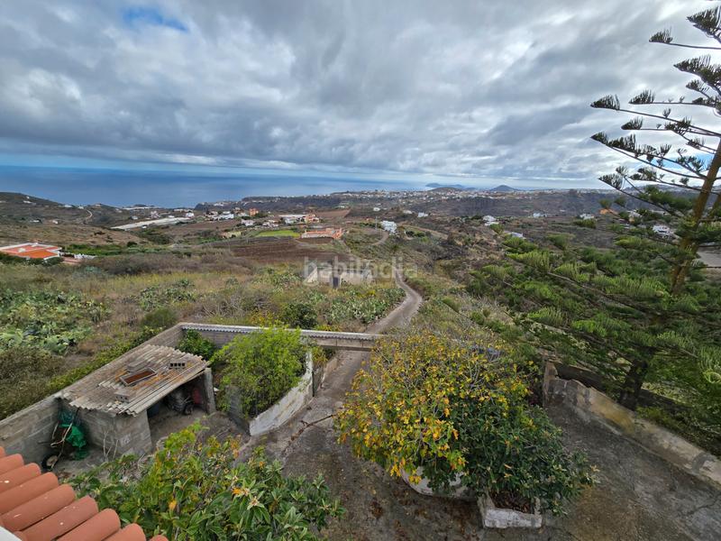Foto cdcef1fc-a2f7-4234-89e7-85557a10984e. Casa finca rústica con casa independiente. en Santa María de Guía de Gran Canaria