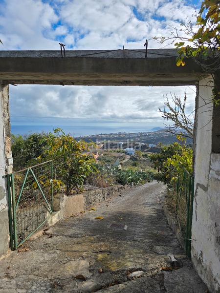 Foto d8dca7f2-1fcd-47e6-b660-6b5df0a43b0b. Casa finca rústica con casa independiente. en Santa María de Guía de Gran Canaria