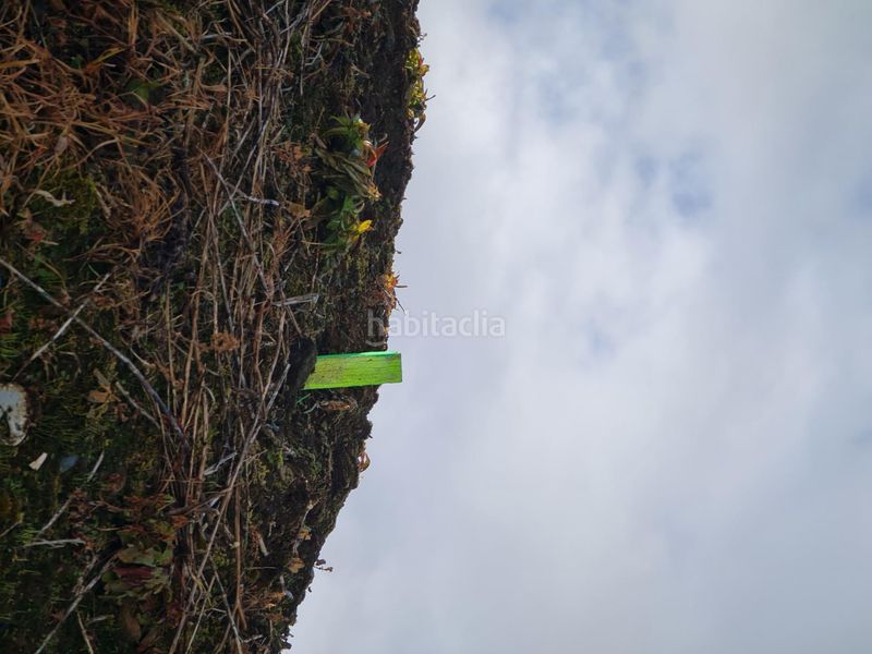 Foto 5b68f0ab-24b4-483d-a4d0-f0b732d5c6c4. Terreny residencial a Maianca Oleiros