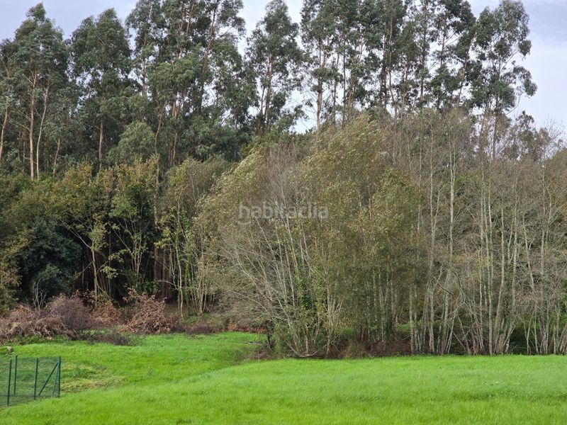 Foto ed903fcc-6af7-41ca-a2d1-ec613d8331ce. Terreny residencial a Cambre