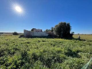Terreny residencial  Partida de valverde bajo, polígono 120