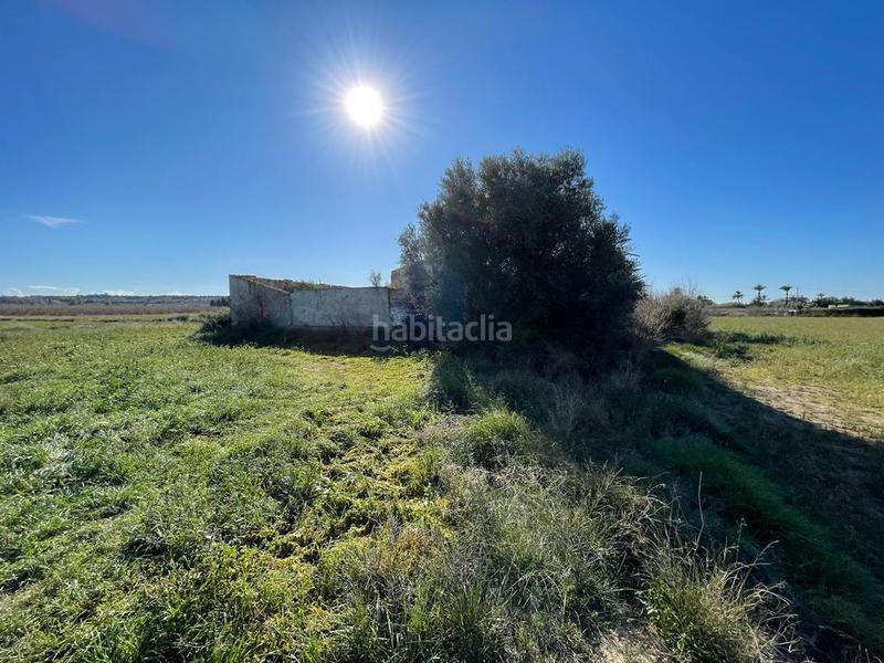 Foto 02435eac-a1eb-4875-bcc6-4e23e046b36e. Residential plot in Valverde Elche / Elx