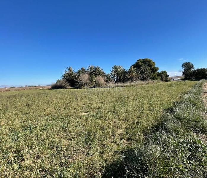 Foto 060eba4c-b979-4713-85c9-0ad6e00cb6ea. Residential plot in Valverde Elche / Elx