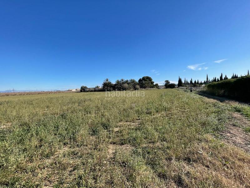 Foto aed443ff-2d08-47e0-a456-aa55f46cd354. Residential plot in Valverde Elche / Elx