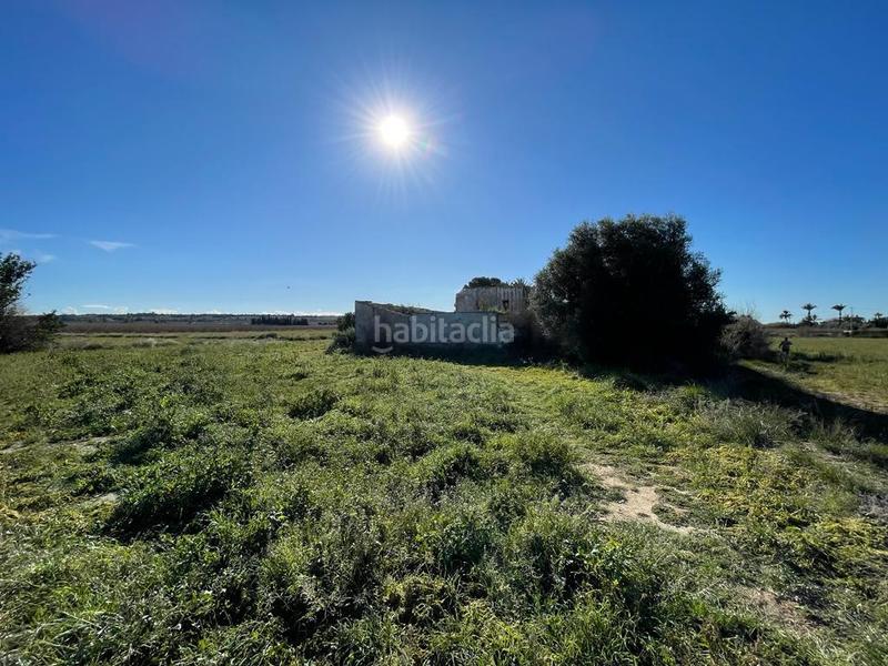 Foto c134d4b9-42db-473b-b721-2671d089157c. Residential plot in Valverde Elche / Elx