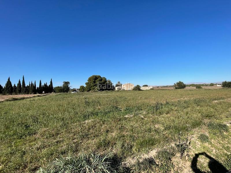 Foto c496805e-6506-4745-8199-32a00b3d9f1c. Residential plot in Valverde Elche / Elx