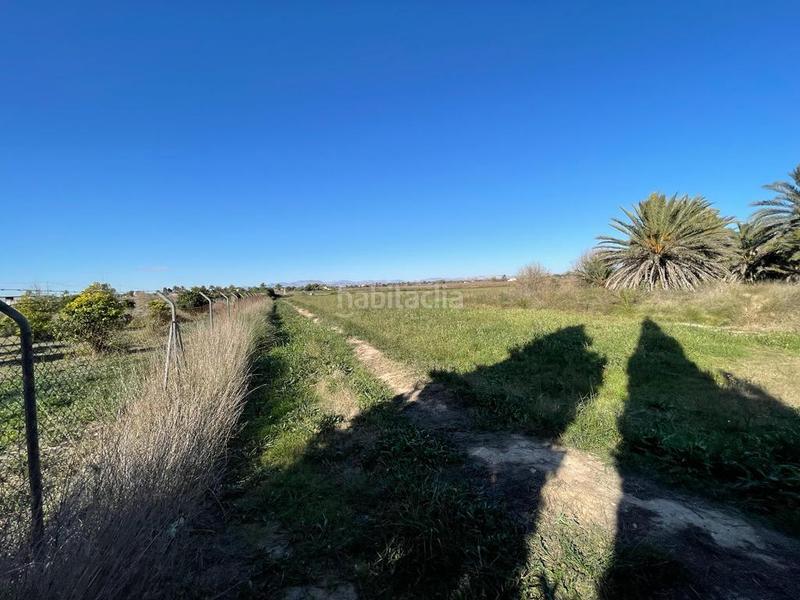 Foto e311fb54-8211-477b-aa0b-a67498151305. Residential plot in Valverde Elche / Elx