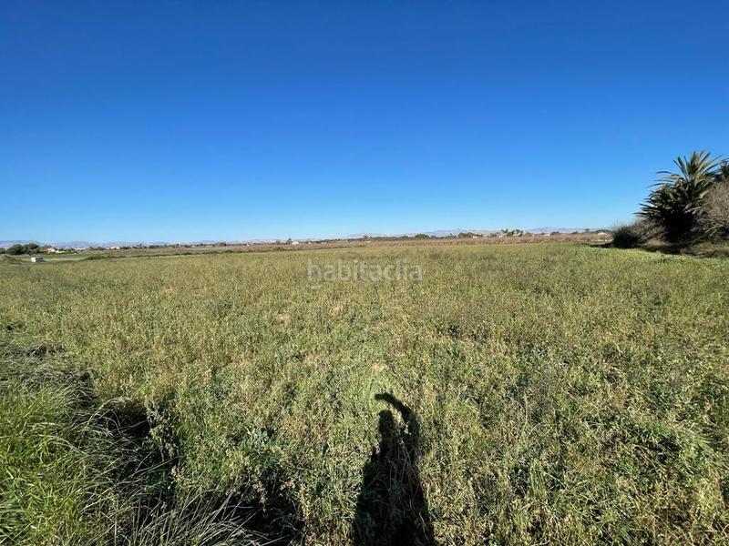 Foto cb7bd2ff-8c55-4607-a8a1-7eb2bb1777bd. Terrain résidentiel dans Valverde Elche / Elx