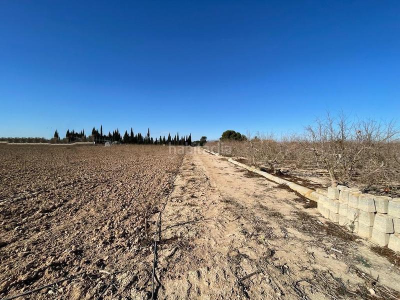 Foto 0b5b714d-85f7-4b34-8e8e-6fe8da90f893. Terreno residenziale in Valverde Elche / Elx