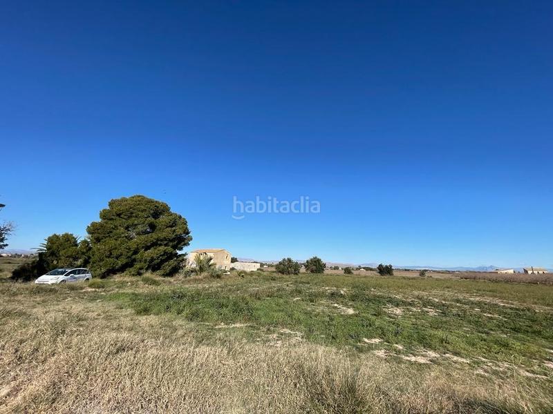 Foto 953964f3-c242-4a6e-aec2-9f2b3a76af71. Terreno residenziale in Valverde Elche / Elx