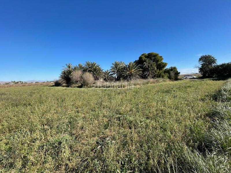 Foto c4064045-a53c-4e13-ab99-44cf7e085ff8. Terreno residenziale in Valverde Elche / Elx