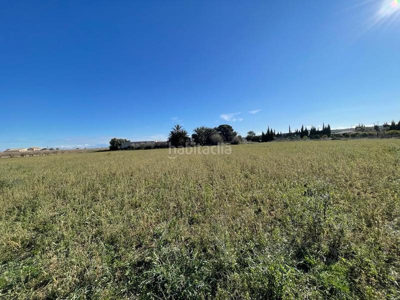 Foto deafa332-f015-4a18-b543-58a6b2d60a31. Terreno residenziale in Valverde Elche / Elx