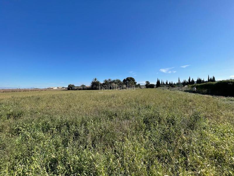 Foto eda9809c-7817-4466-bf9c-dc0e0d758efb. Terreno residenziale in Valverde Elche / Elx