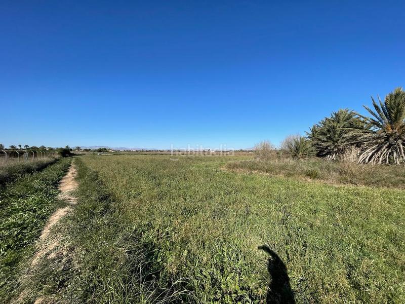 Foto 2abf226e-1ff8-41b5-93e6-f0eaf964ed17. Wohngrundstück in Valverde Elche / Elx