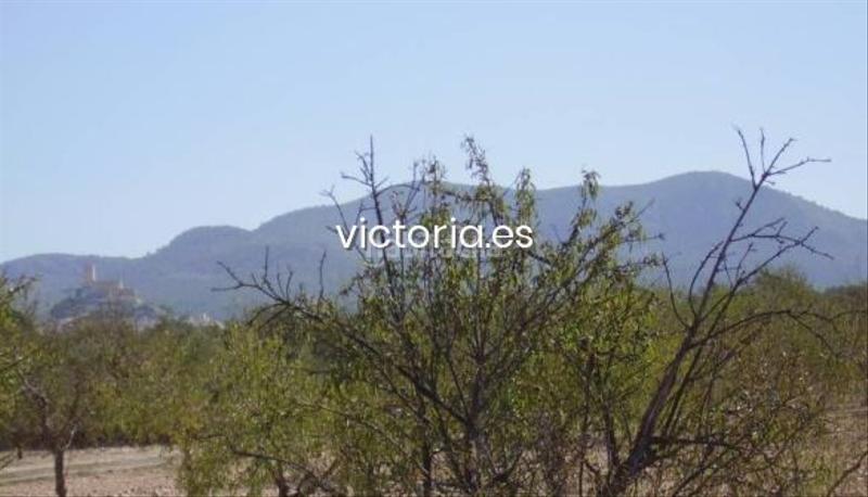 Foto b189c921-fa23-4473-aee7-2a7815012274. Terreny residencial a Biar