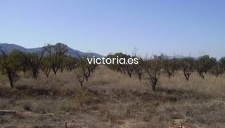 Terreny residencial  Partida dels cabesols