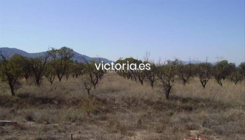 Foto d562971d-83a9-4a08-8891-cf130e15ab62. Terreno residenziale in Biar