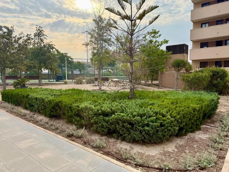 Foto b2e30877-c2c1-4d5f-b964-6b4bb3b08448. Apartamento en Los Arenales del Sol Elche / Elx