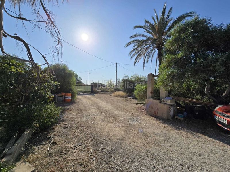 Foto 39a509b2-8941-4d6b-970a-9cd7b0b0f746. Casale in Valverde Elche / Elx
