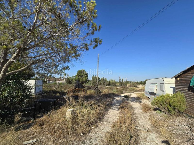 Foto f3aecad8-d56b-45a7-8d1a-348bf7149d8f. Casale in Valverde Elche / Elx