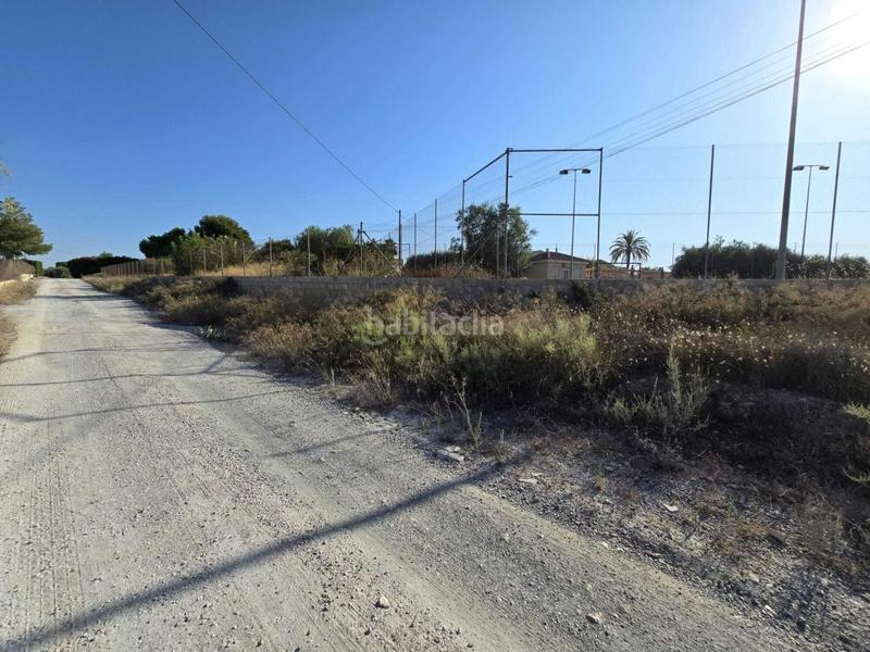 Foto 2643753a-f252-4a73-9ece-1e5e5f8fb73b. Mas dans Valverde Elche / Elx