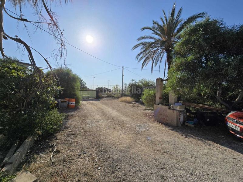 Foto 39a509b2-8941-4d6b-970a-9cd7b0b0f746. Mas dans Valverde Elche / Elx