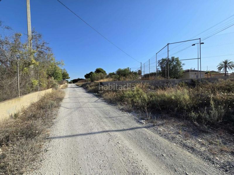 Foto 8f9a0d70-3273-43ee-882b-0b89b81c778b. Mas dans Valverde Elche / Elx