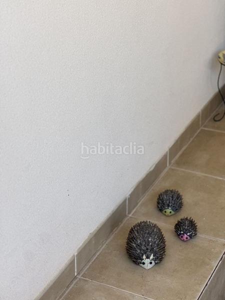 Foto c37ba359-f826-465a-9c46-d897950ec648. Alquiler apartamento en Monte Faro-Altomar II Santa Pola