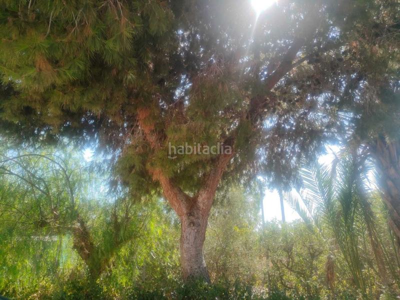 Foto fd780fe8-a640-40b7-b393-3605e7d72c4c. Casale con riscaldamento parcheggio piscina in La Foia - Daimés - Asprella Elche / Elx