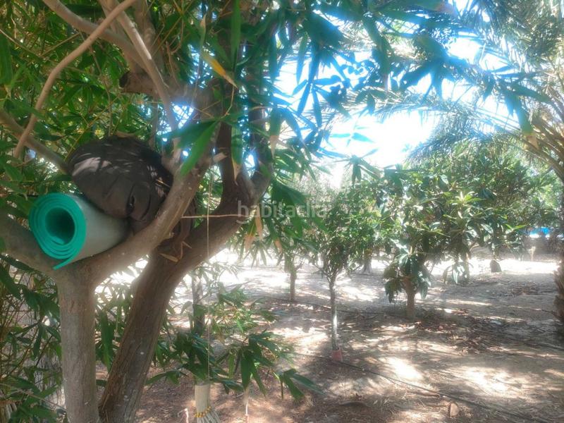 Foto df1da953-7622-4ac5-be40-4f06238c3786. Mas avec chauffage parking piscine dans La Foia - Daimés - Asprella Elche / Elx