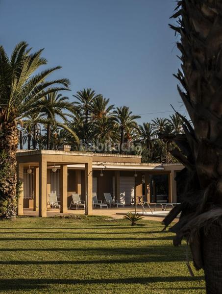 Foto 0781a9fd-ac2e-422d-9861-af53dbf4b438. Xalet amb calefacció piscina a Alzabares Elche / Elx