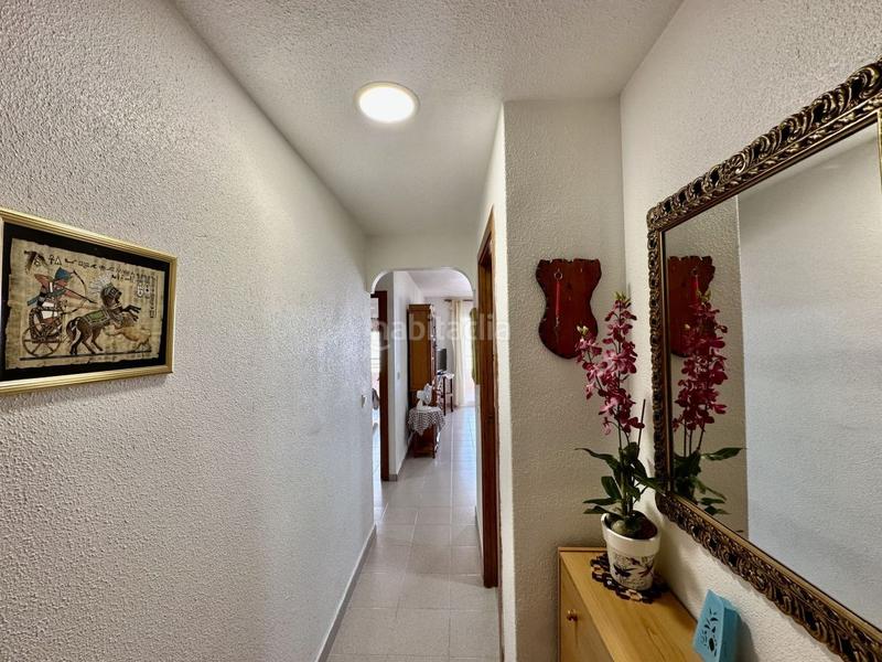 Foto 0ccf538a-8597-4606-bfc1-adf29df8341b. Apartamento en Los Arenales del Sol Elche / Elx