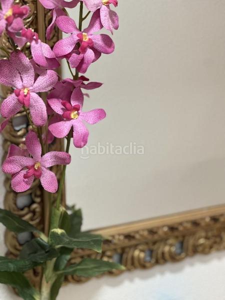 Foto 14a50f66-ef83-4355-bfd7-da1e55fb1087. Apartamento en Los Arenales del Sol Elche / Elx