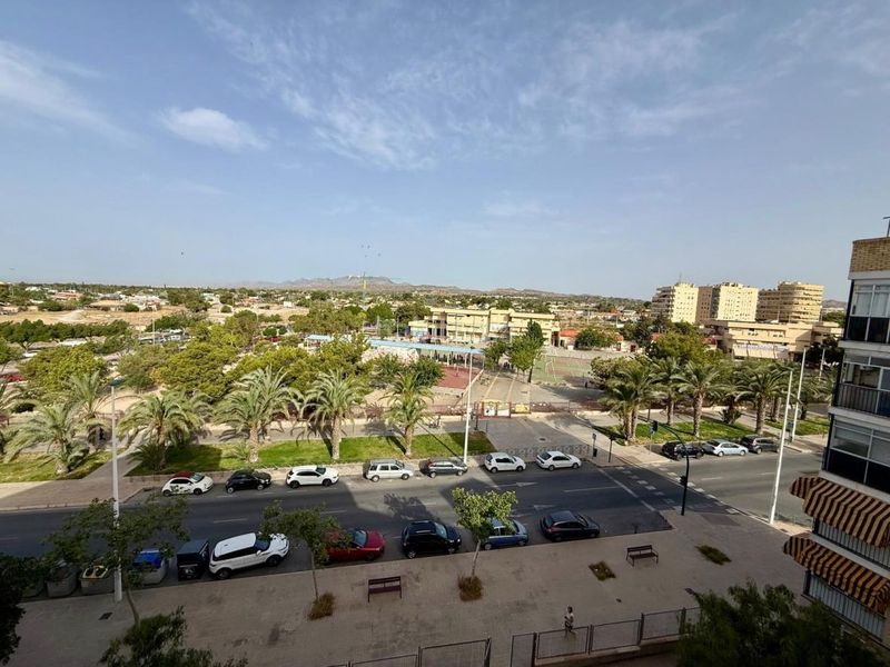 Foto 23a55c11-9f99-48b0-a636-4bb93886def1. Pis a El Toscar Elche / Elx