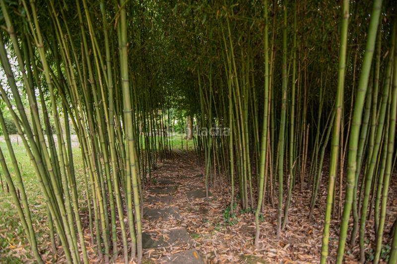 Foto dab12a86-2177-418b-a9a4-7733d3cae8f1. Masía casa grande de a pedreira, hotelboutique en Cuntis