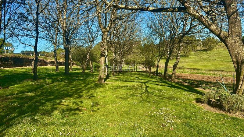 Foto 13661e6c-0c79-4d59-8bad-61cf7e80c9f9. Casa amb calefacció a Pino (O)