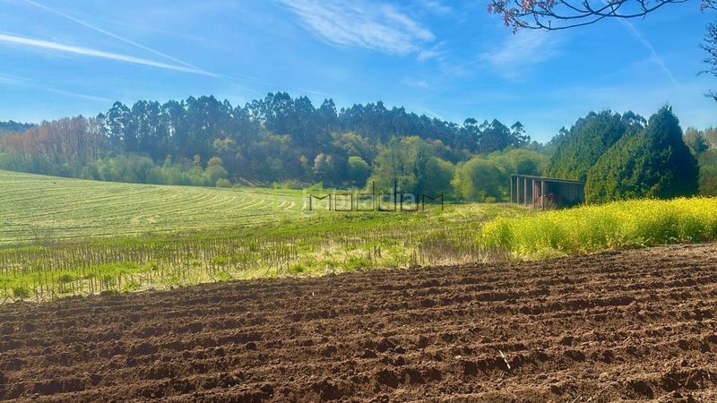 Foto 1d38fe69-8466-4f46-8120-261d101a9464. Casa amb calefacció a Pino (O)