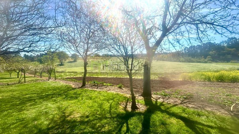 Foto 493d54ba-505d-49ff-9d55-fae305d767b2. Casa amb calefacció a Pino (O)