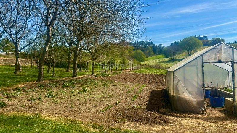 Foto 63938628-c094-4346-bfb9-7fb4a88d0414. Casa amb calefacció a Pino (O)