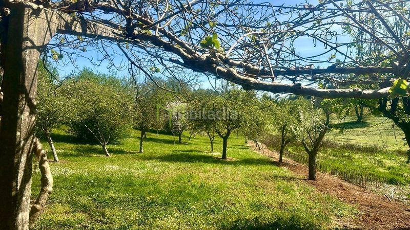 Foto 75efb913-22a8-4729-b375-dc8ab6e0f784. Casa amb calefacció a Pino (O)