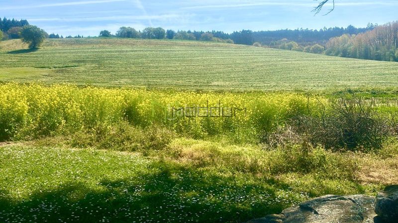 Foto 79682c55-4303-47ae-8a53-cbd990449058. Casa amb calefacció a Pino (O)