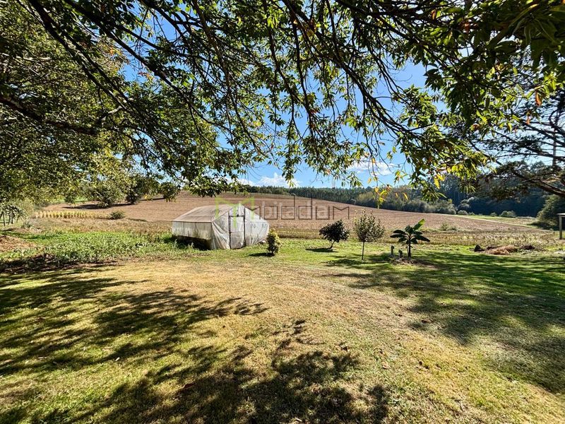 Foto a0d2da2d-7056-40ab-a4cd-fd0e5cbfa294. Casa amb calefacció a Pino (O)