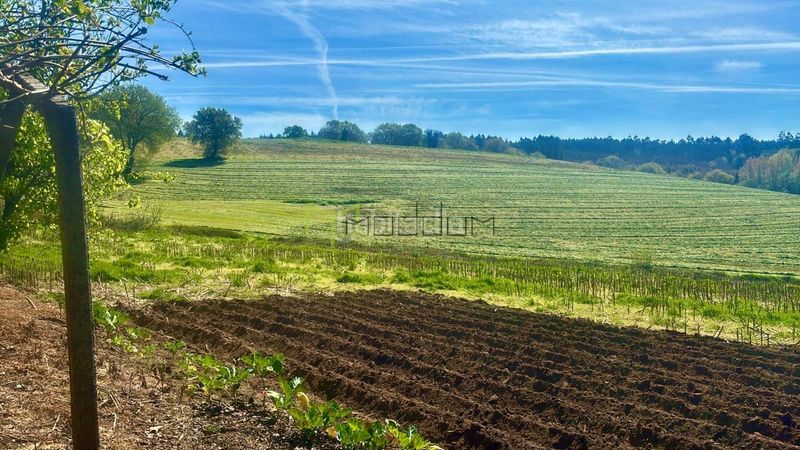 Foto a8536a73-4c5e-4db0-a58c-b3729dde9748. Casa amb calefacció a Pino (O)
